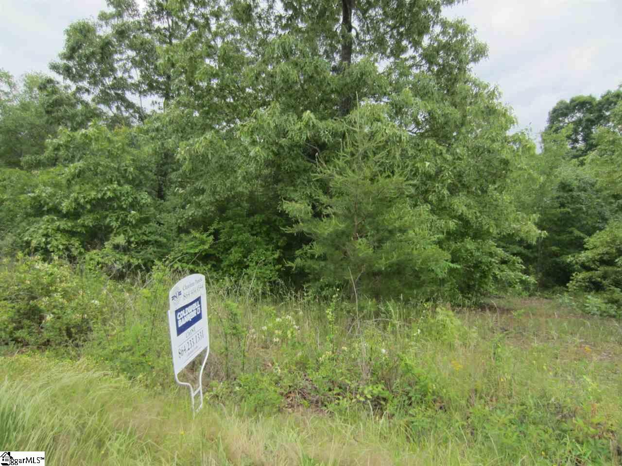 Property Photo: 0 Tullyton Drive SC 29644