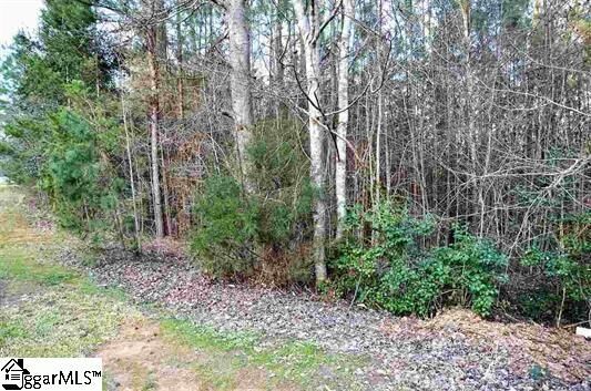 Property Photo:  473 Carolina Club Drive  SC 29306 
