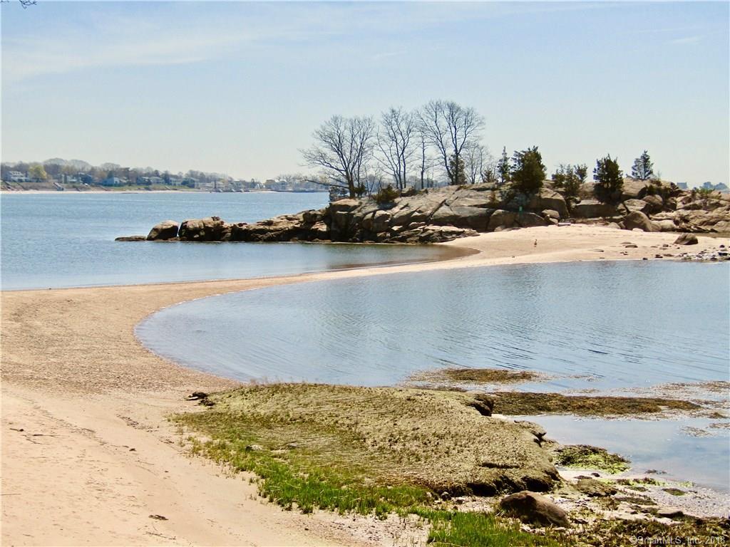 Property Photo: 204 Turtle Bay Drive 204 CT 06405
