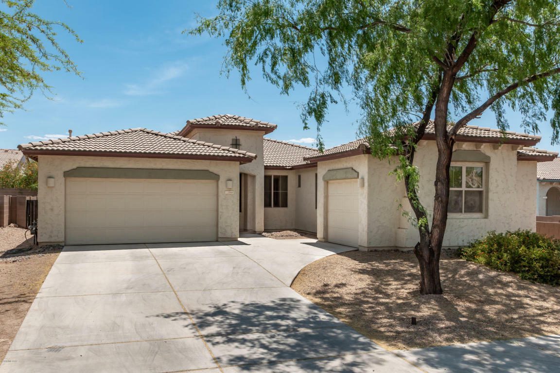 Property Photo:  11649 W Emmer Drive  AZ 85653 