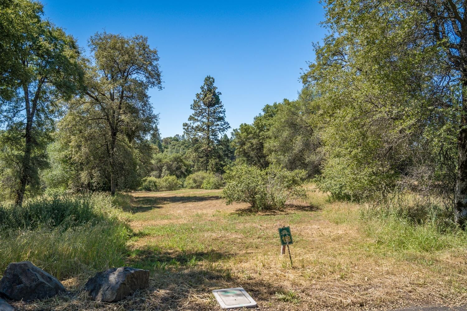 Property Photo:  12815 Masters Court  CA 95602 