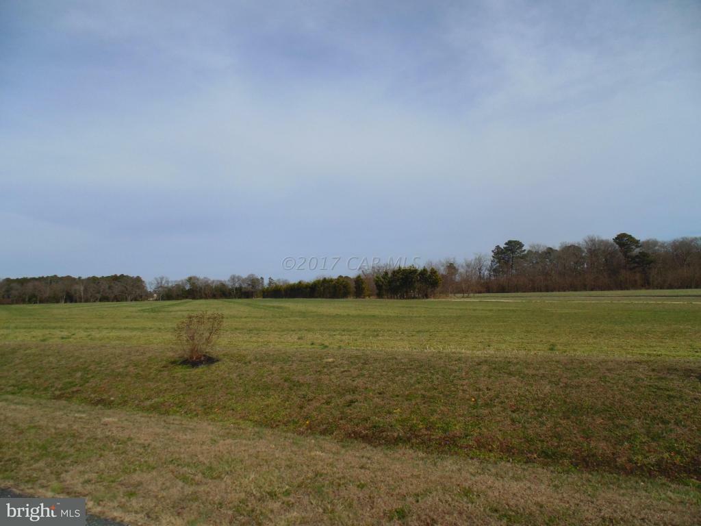 Property Photo:  Toadvine 218 Road  MD 21801 