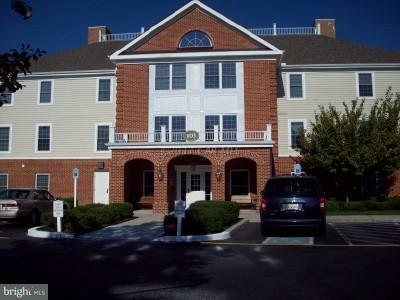 1101 S Schumaker Drive 104  Salisbury MD 21804 photo