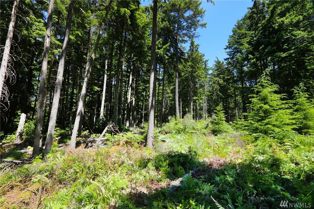 Property Photo:  269 Xx Vashon Hwy SW  WA 98070 