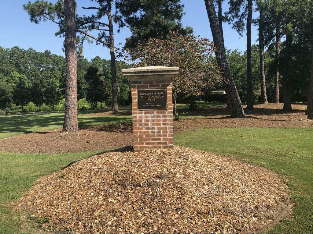 Property Photo: 313 Adeline Drive SC 29445
