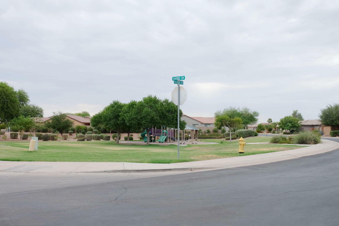 Property Photo:  43506 W Harris Drive  AZ 85138 