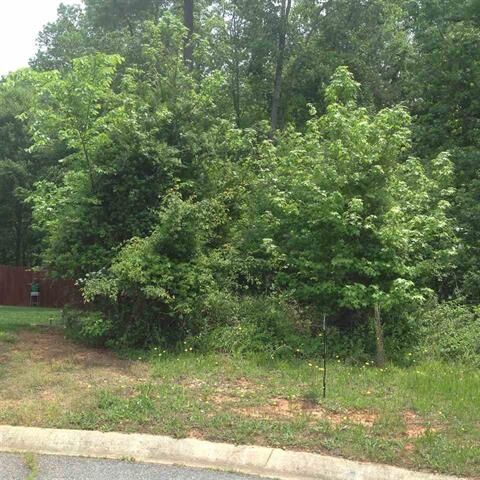 Property Photo:  409 Huckleberry Court  SC 29376