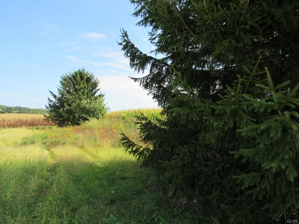 Property Photo:  Hunter Forge Road  PA 18062