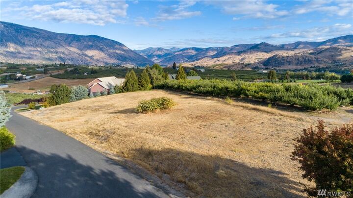 Property Photo: 0 Chase Ave WA 98831