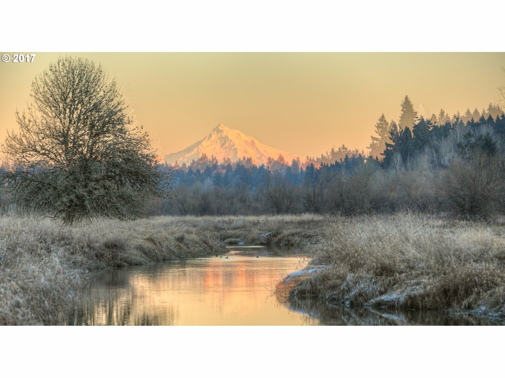 Property Photo: 13716 NW 35th Ct Lot 2 WA 98685