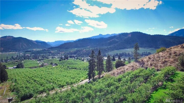 8654 Larson Rd  Peshastin WA 98847 photo