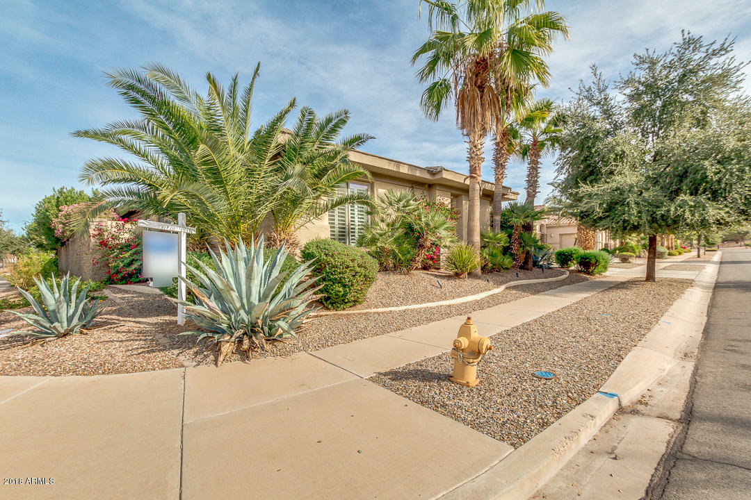 Property Photo:  4686 E Ruffian Road  AZ 85297 