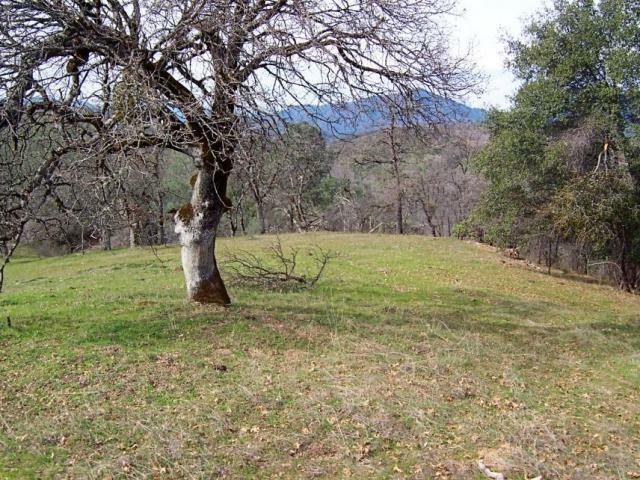 Property Photo:  61 Acres Backbone Ridge Rd  CA 96008 