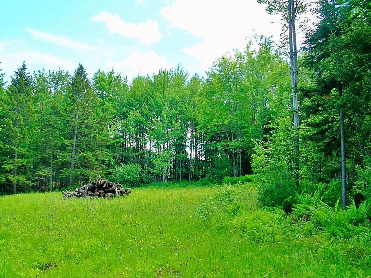 Property Photo: Lot #19 Campbell Road VT 05661