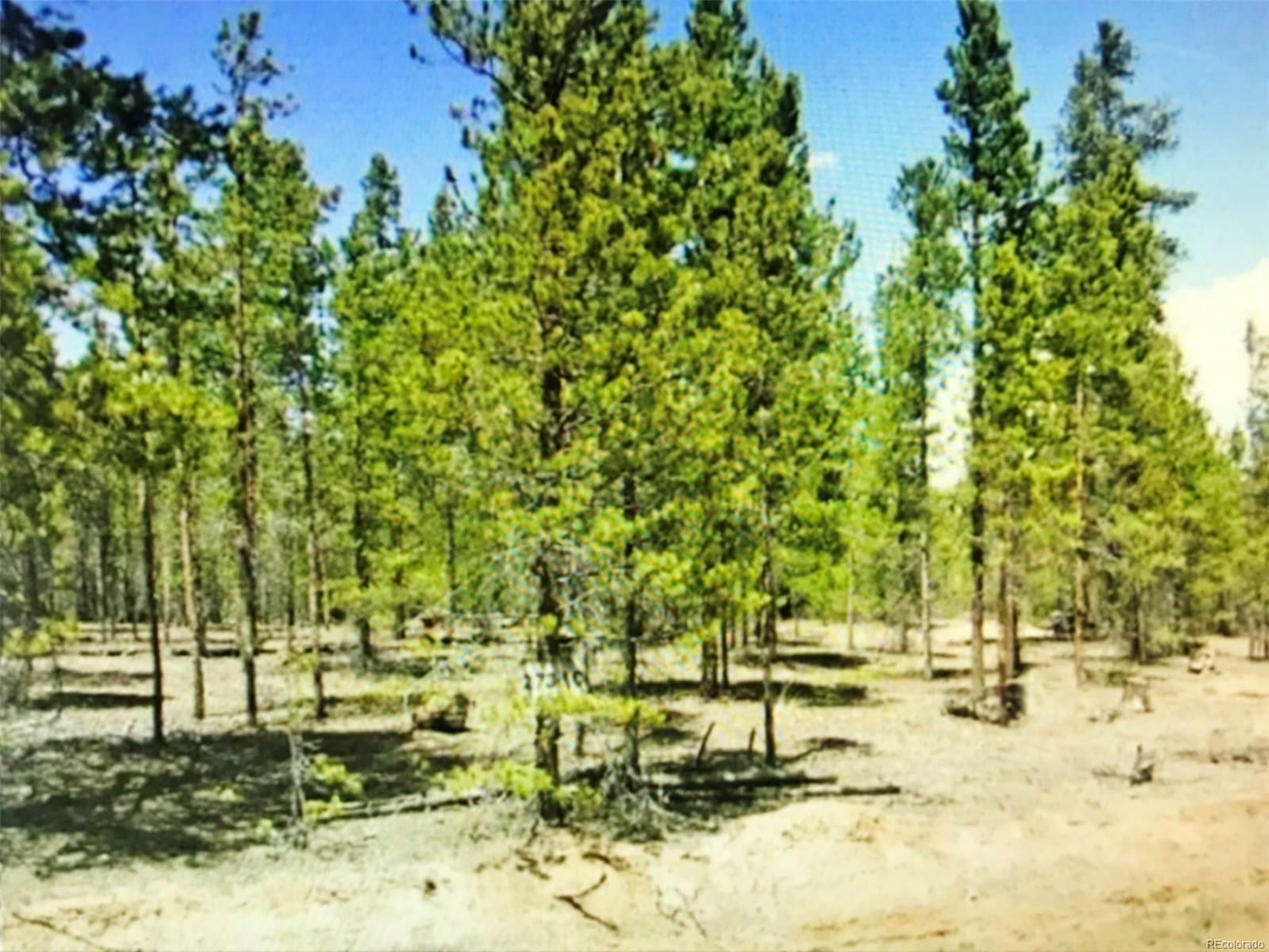 Property Photo:  408 Mt Massive Drive  CO 81251 