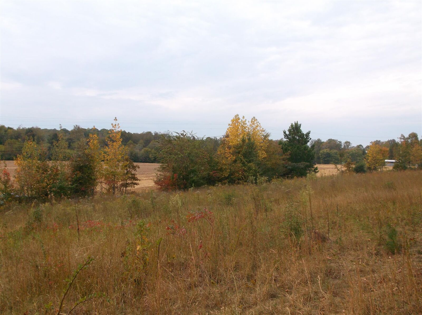 Property Photo: 0 Rock Creek Rd TN 37388