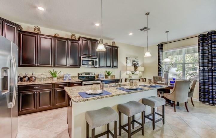 Property Photo:  11887 Sunburst Marble Road  FL 33579 