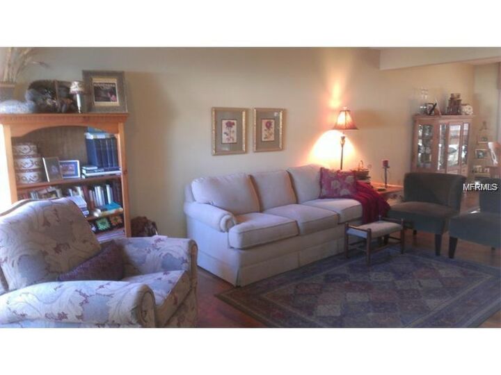 Property Photo:  1457 Disston Avenue  FL 34711 