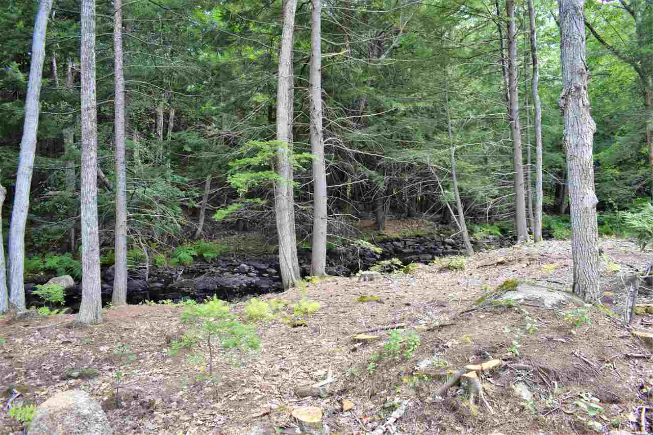 Property Photo:  04-072-018 Roby Road Lot 1  NH 03273 