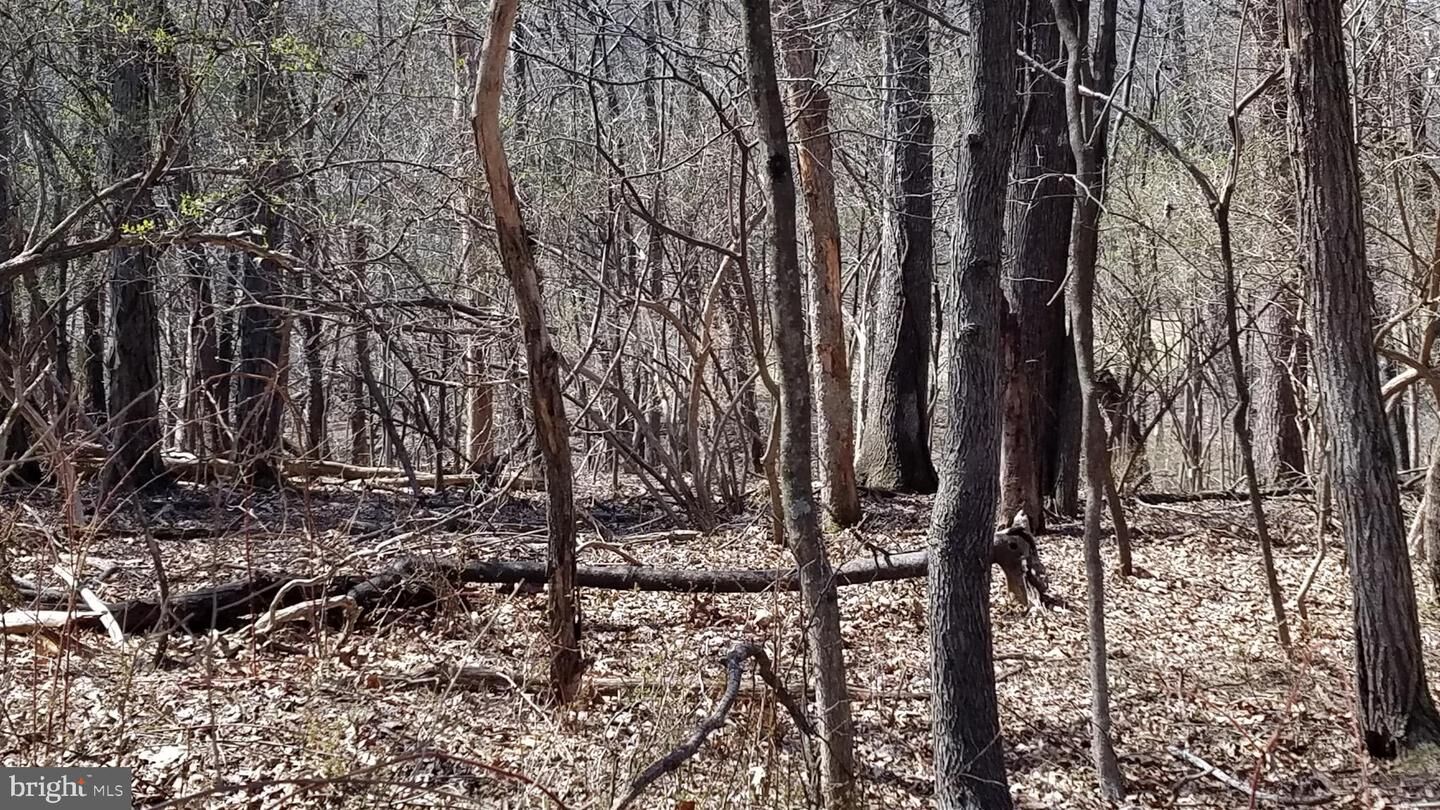 Property Photo:  Off Eagle School  WV 25404 