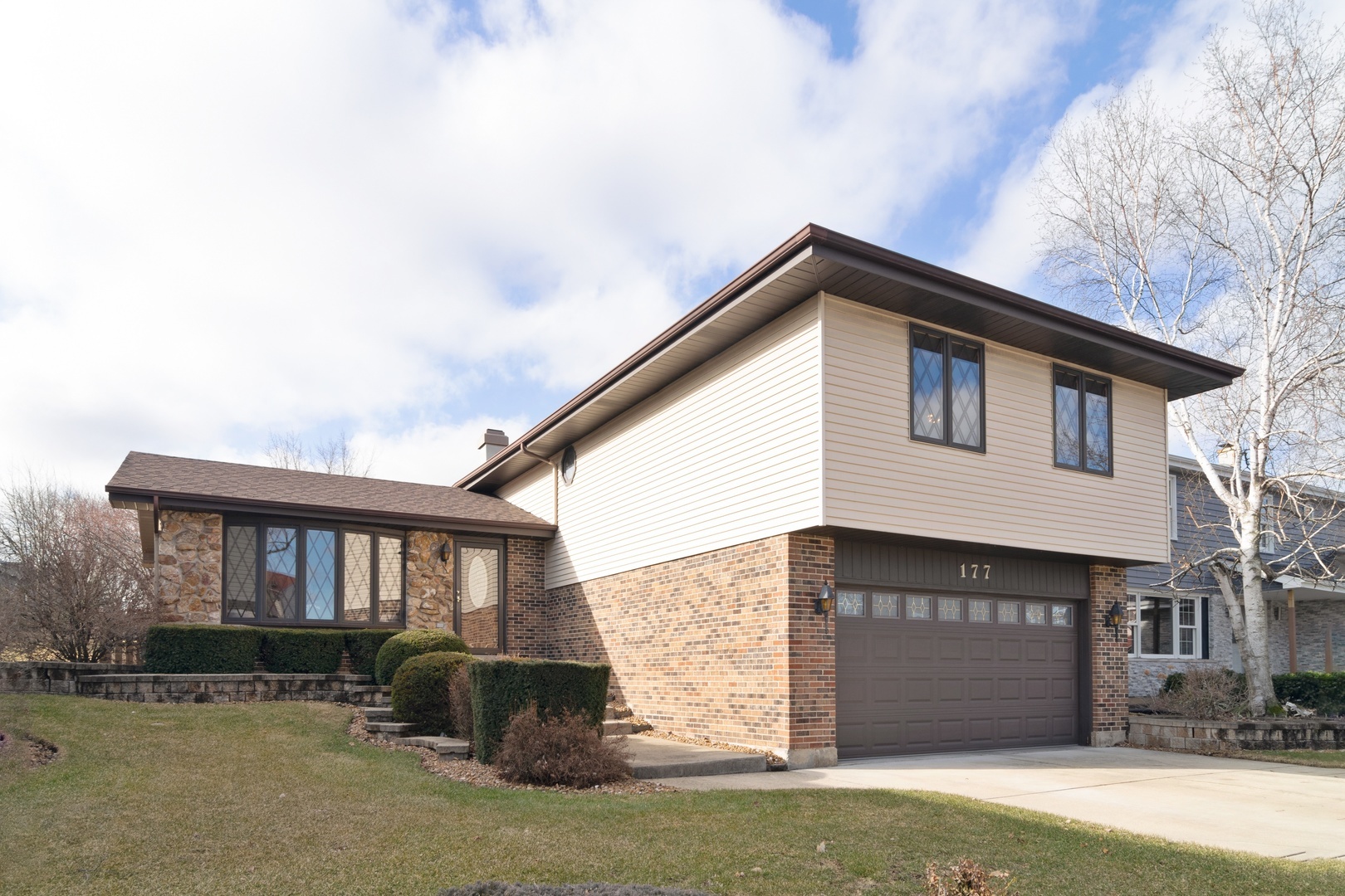 Property Photo:  177 Courtenay Lane  IL 60193 