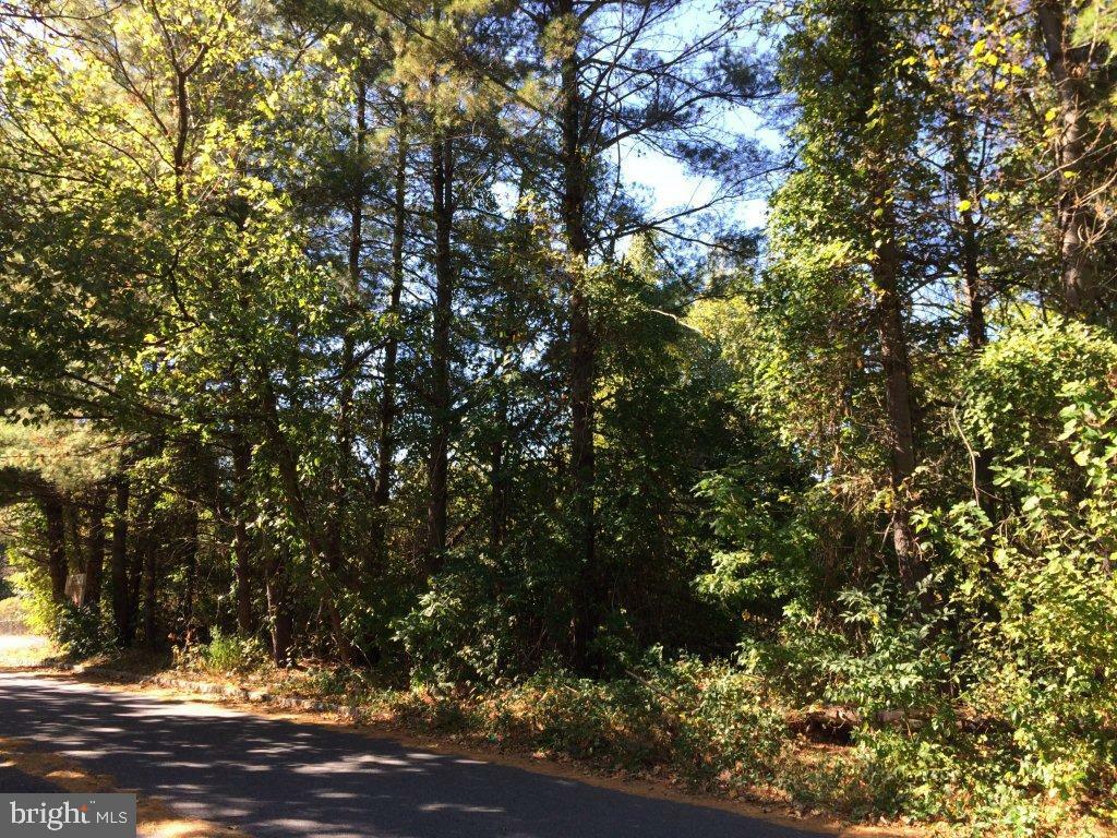 Property Photo: 4060 Quakerbridge NJ 08619