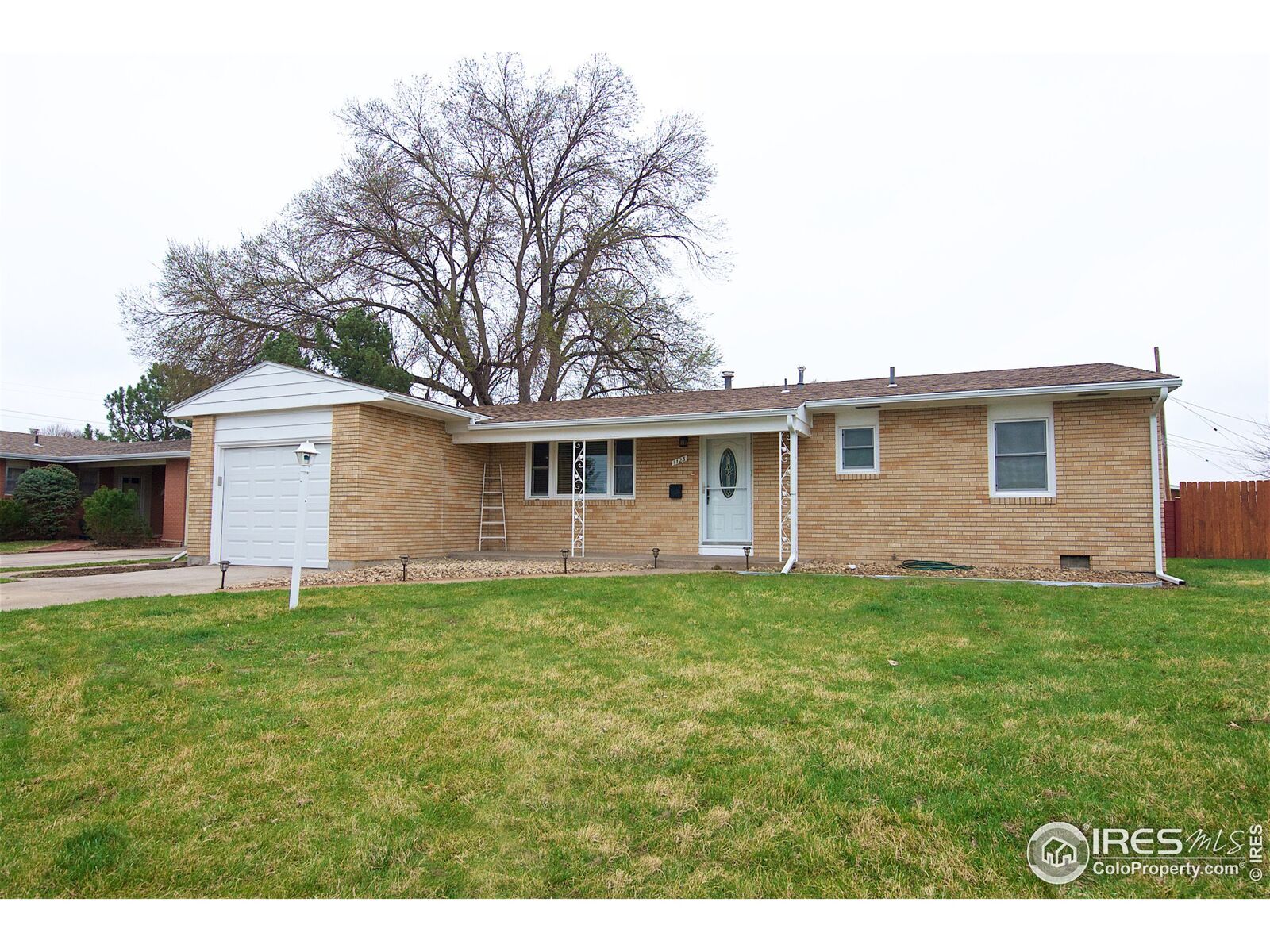 Property Photo: 1123 Beattie Dr CO 80751