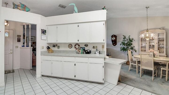 Property Photo: 1028 Scotch Pine Court FL 34788