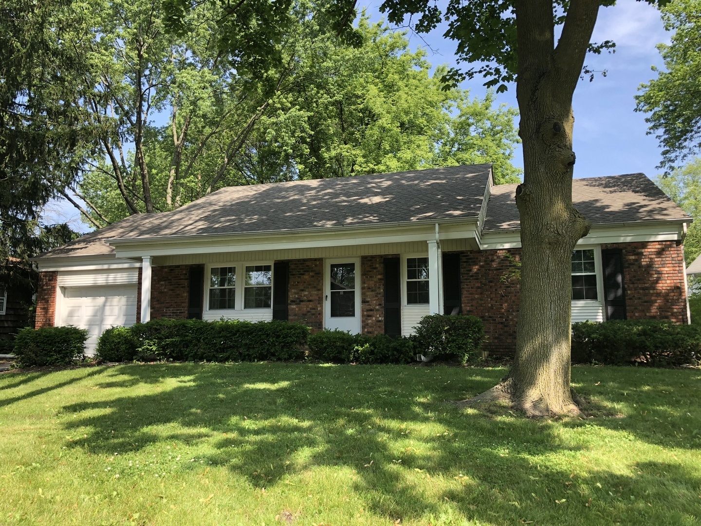 Property Photo:  881 Hollystone Lane  IL 60089 