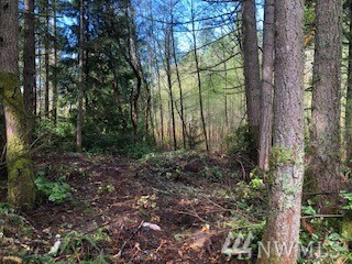 Property Photo:  5415 W Old Stump Dr NW  WA 98332 