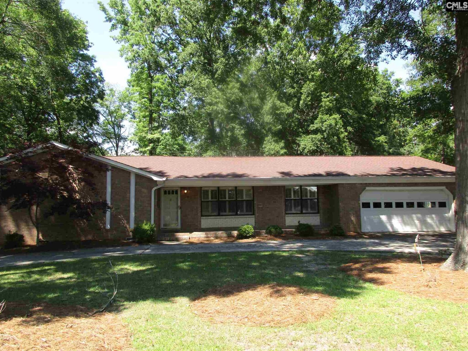 Property Photo: 169 St. Andrews SC 29210