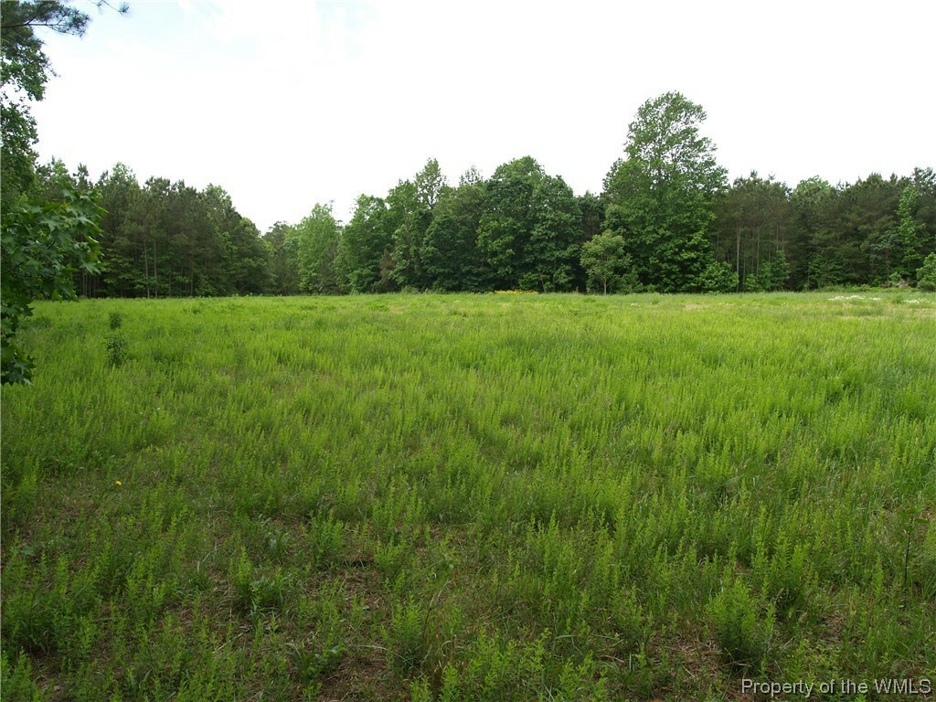 Property Photo:  Adj. 6200 Philbates Creek Road  VA 23011 