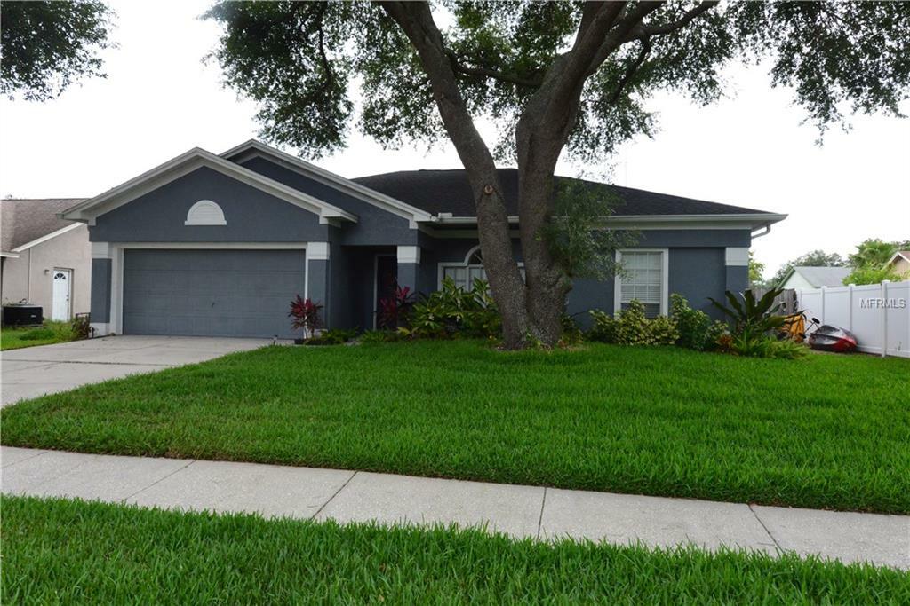 Property Photo:  10306 Early Mist Lane  FL 33569 