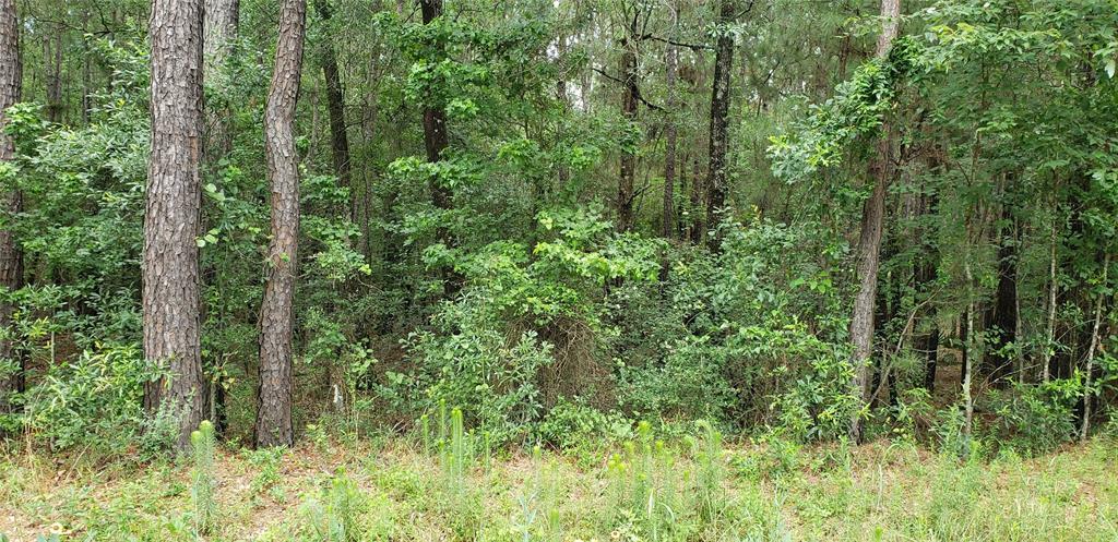 Property Photo: Tr 109 Jayhawker Road TX 77328