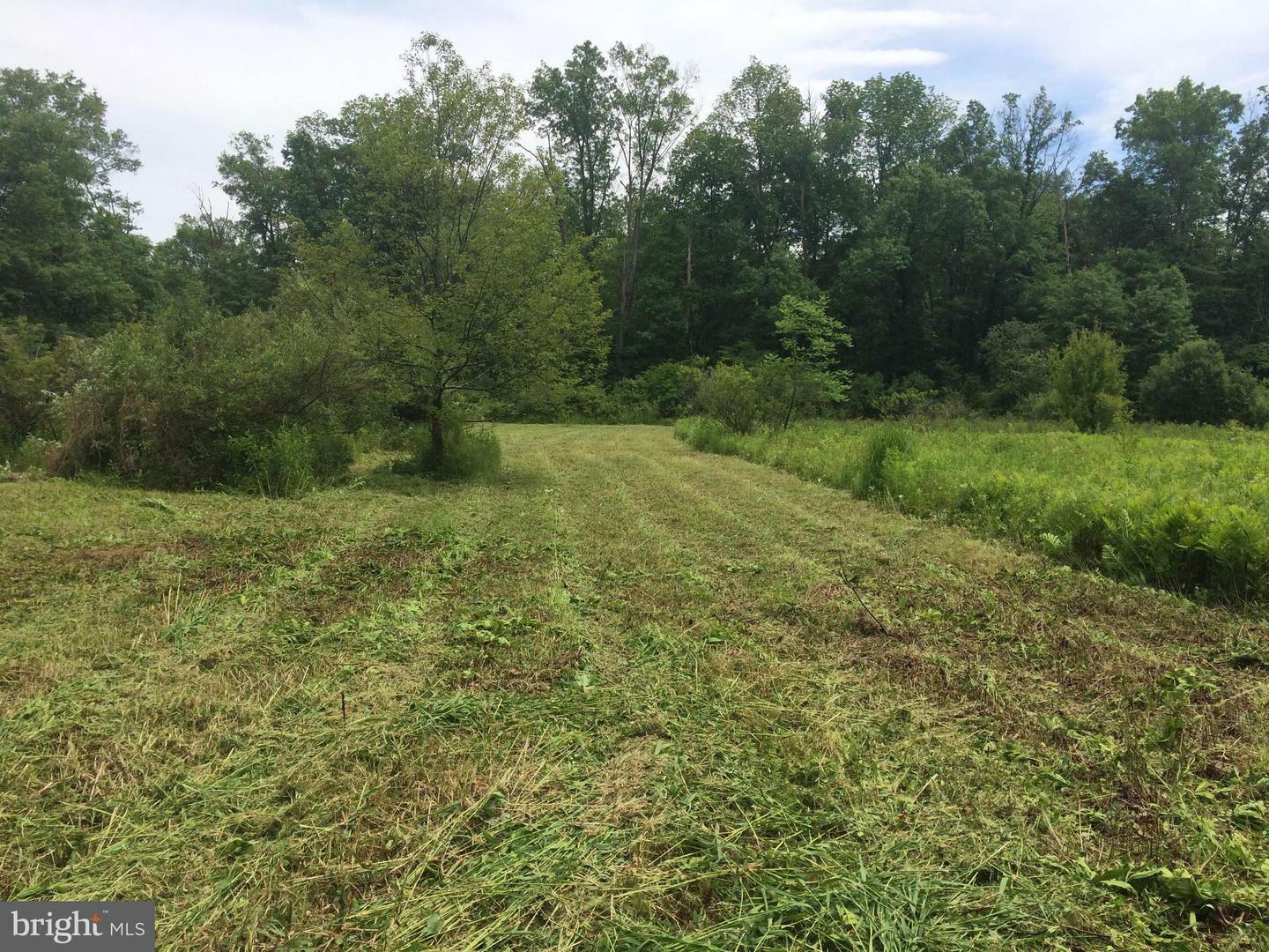 Property Photo:  0 Rocky Ridge Road  PA 18951 