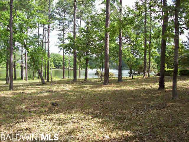 Property Photo: 7 Lakeview Drive AL 36507