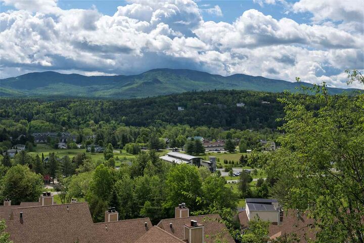 Property Photo:  220 Mountainside Drive E401  VT 05672 