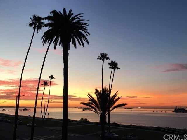 Property Photo: 2601 E Ocean Boulevard 210 CA 90803