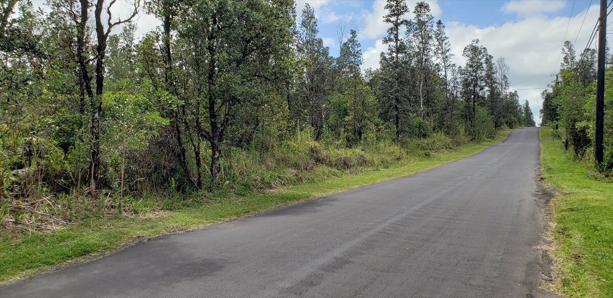 Property Photo:  Plumeria St  HI 96771 