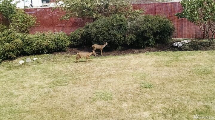 Property Photo:  740 Unit 9 Guard St 9  WA 98250 