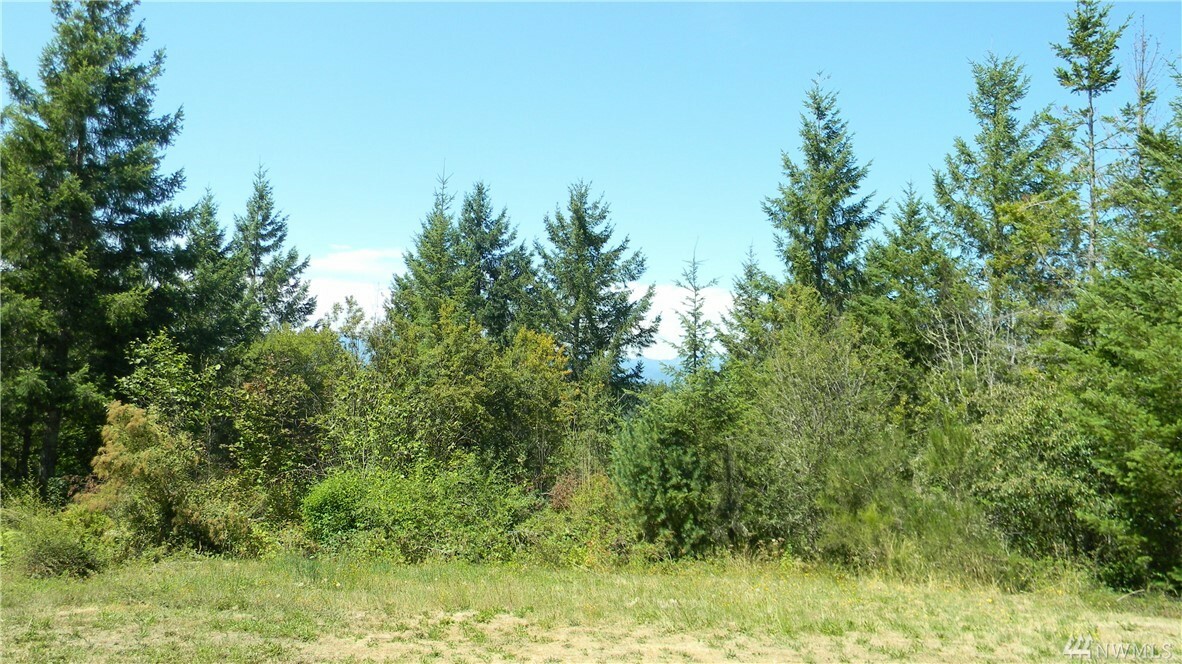 Property Photo:  121 NE Queen Ann Dr  WA 98528 