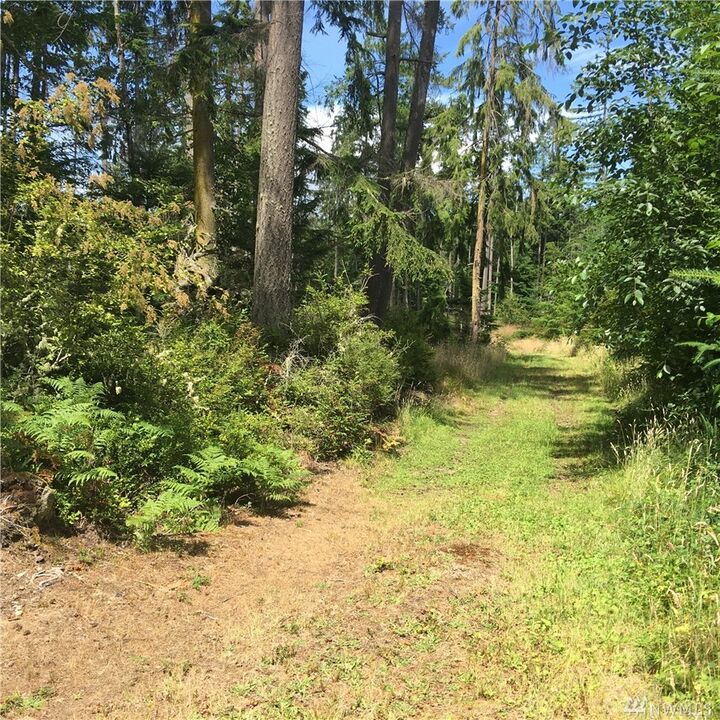 39 Xx Little Dirt Road  Langley WA 98260 photo