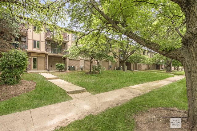 Property Photo:  528 East Bailey Road 204  IL 60565 