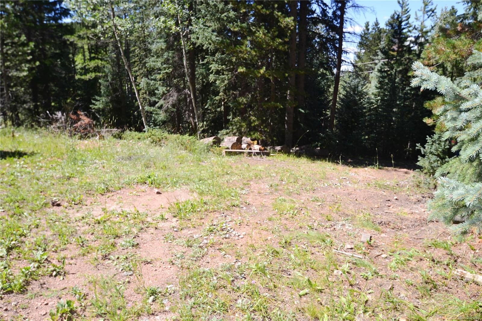 Property Photo: 8928 Black Mountain Drive CO 80433