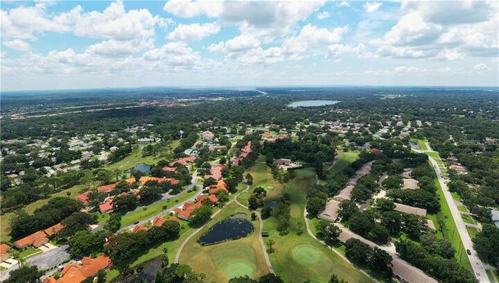 Property Photo:  1059 Dunrobin Drive D  FL 34684 