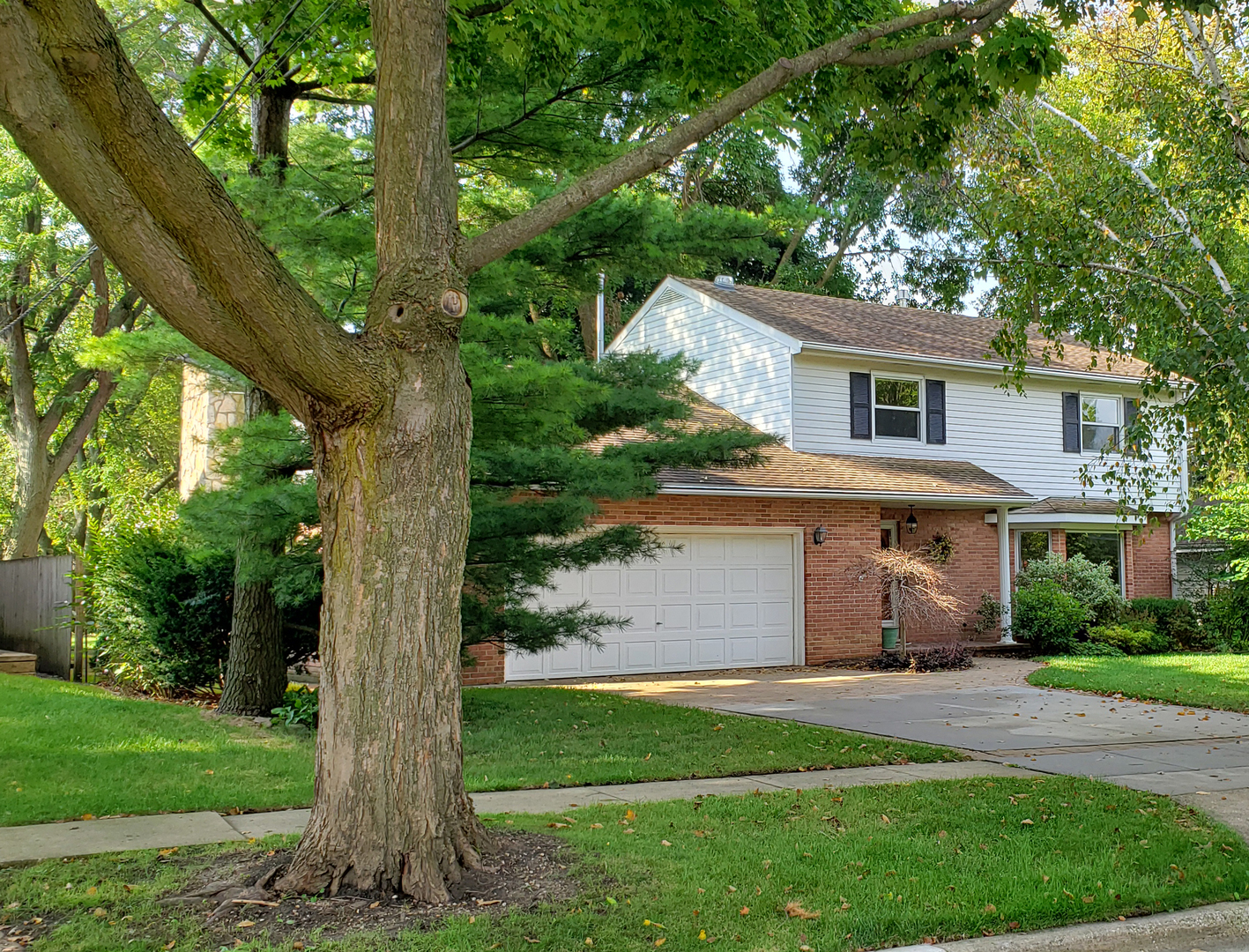 Property Photo:  345 West Austin Avenue  IL 60048 