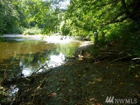 Property Photo:  Xxx Cougar Smith Rd  WA 98563 