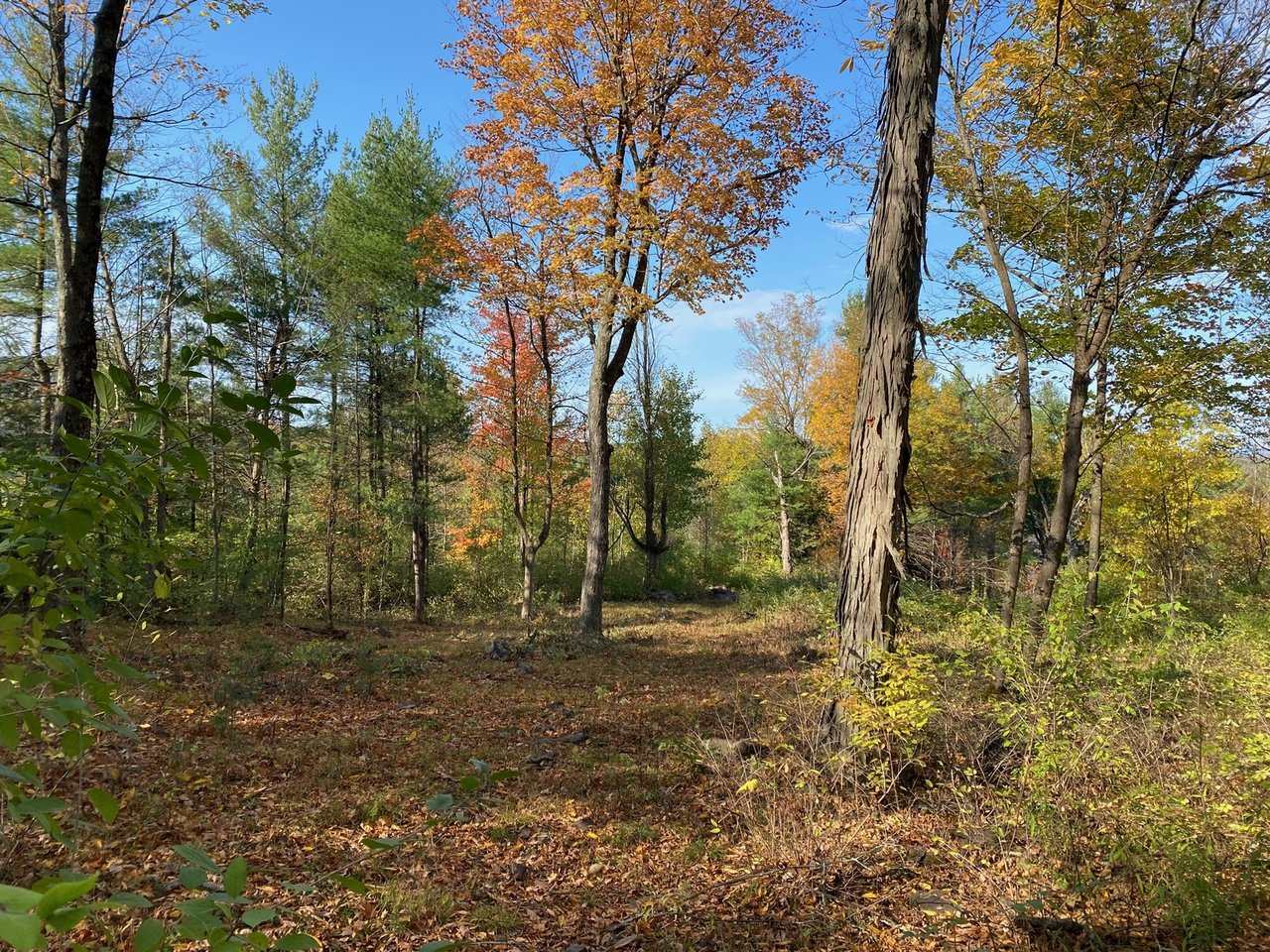 Property Photo:  650 Elfin Lane  VT 05445 
