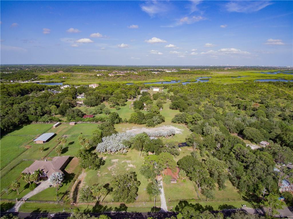 Property Photo:  8123 Double Branch Road  FL 33635 