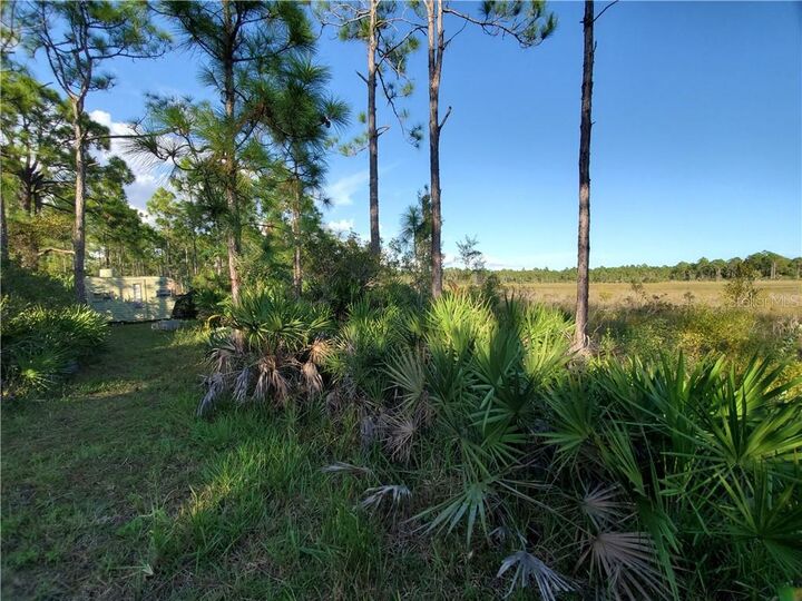 Property Photo:  32714 Oil Well Road  FL 33955 